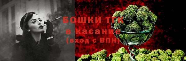 гидра Бронницы