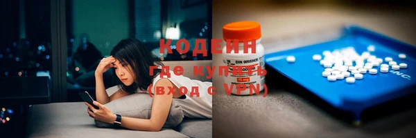 хмурый Верея