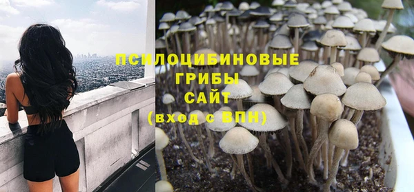 а пвп мука Верхний Тагил