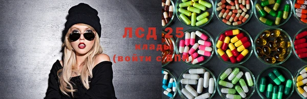 хмурый Верея