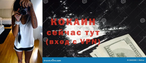 хмурый Верея
