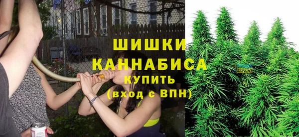 сатива Верхнеуральск