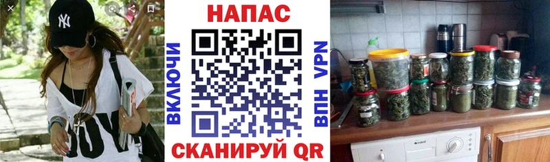 цены   Новомосковск  Конопля конопля 